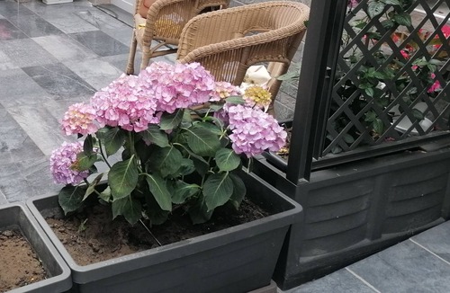 Licola Apartment | nilu house