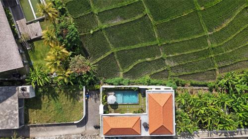 Umalas Villa | Nooky - Rice Field Views Villa with Spacious Garden&Pool