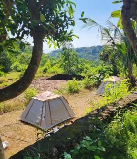 Penida Island Other | Nora Natural Tent