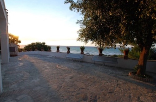 Rodi Garganico Apartment | Olive tree - Apartments in old farmhouse