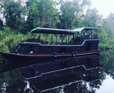 Kumai Boat Rental | Orangutan Houseboat Park Tanjung Puting