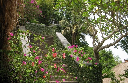 Cepaka Villa | Our Luxury 'LOTUS' Room