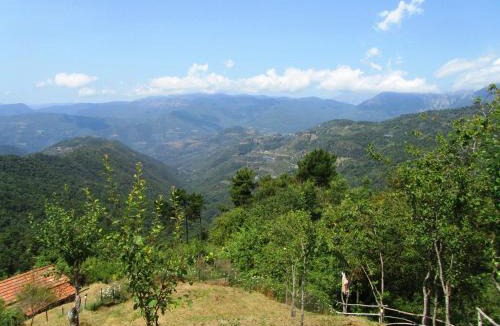 Berzi House | Pachamama