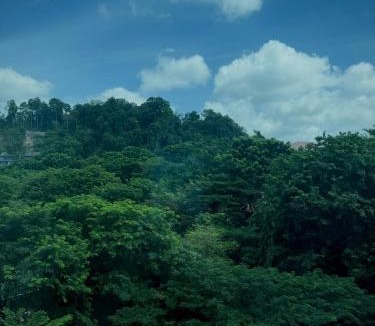 Batam Apartment | Panbil Residence Apartment with Netflix