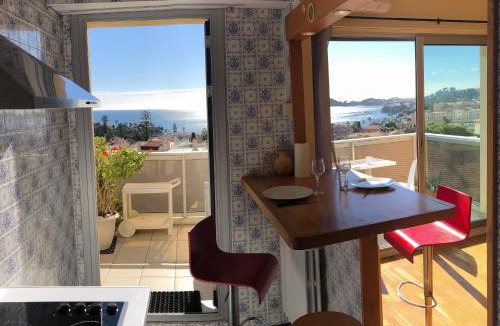 Beaulieu-sur-Mer Apartment | * Panoramic Top Roof in Beaulieu *
