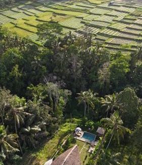Abiansemal Hotel | Pitu, a Punggul Village Escape