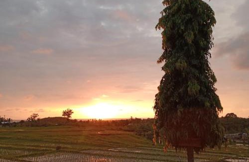 Kelating House | Pondok Dauh Ancak Kelating Guest House