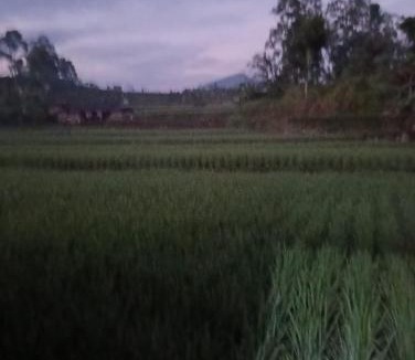 Ciwidey Villa | Princess Villa