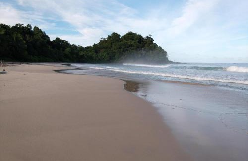 Kepulauan Banyak Resort | Pulau banyak, Bangkaru island
