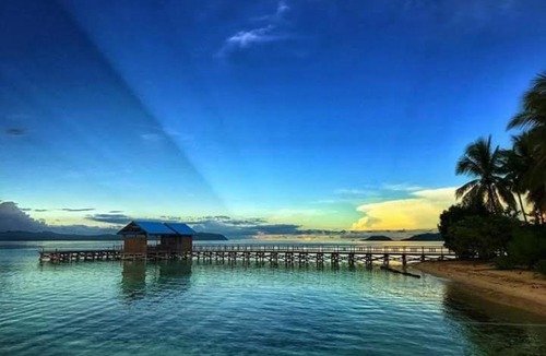 Arborek House | Raja ampat Nemo Homestay