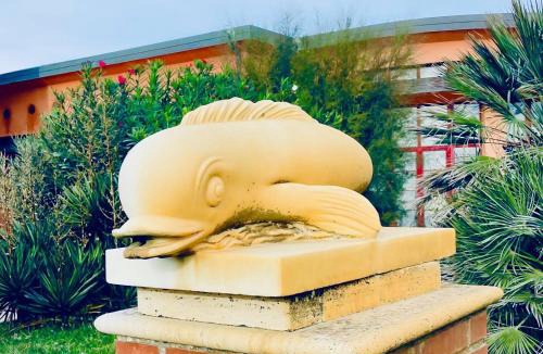 Calambrone Apartment | Regina Del Mare Holiday Apartments