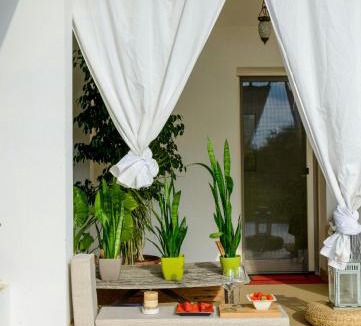 Puliciano House | Renovated Barn Among Vineyards Near Arezzo