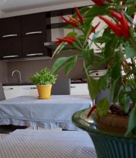 San Mariano House | Residenza "il Cacao"