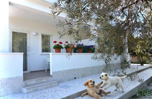 Defensola House | Residenza Villa Terry