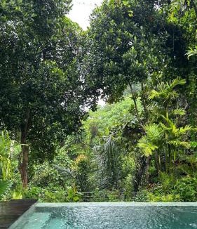 Kedewatan Villa | Romansa villa