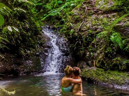 Selemadeg House | Sarinbuana Eco Lodge