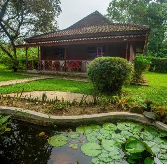Labuhan Ratu Cabin | Satwa Elephant Ecolodge