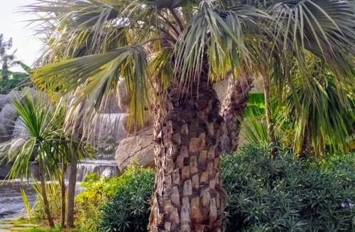 Saint-Sylvestre Apartment | Secret garden, ideal for 2,large terrace