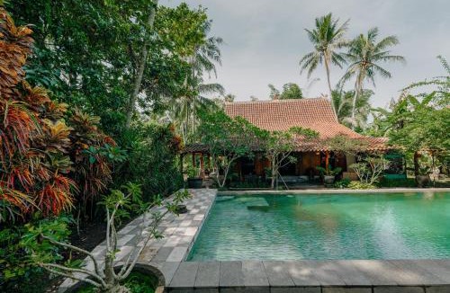 Mendut Other | Sikepan Villa Borobudur