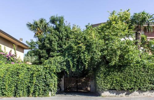 Seravezza Bed & Breakfast | sopra al FORTE