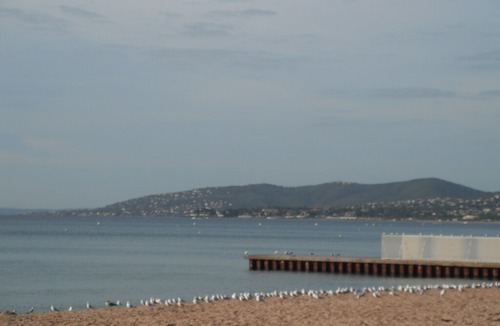 Frejus Plage Apartment | Studio 300 m from the beach