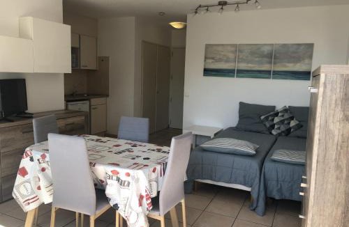 Saint-Raphael Apartment | Studio Climat. avec Balcon Proche Plage et Commerces, Wi-Fi Gratuit - FR-1-466A-27
