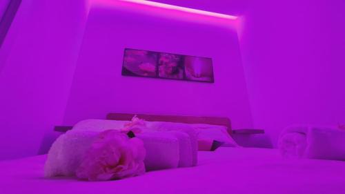 Municipio 2 Bed & Breakfast | Sublime