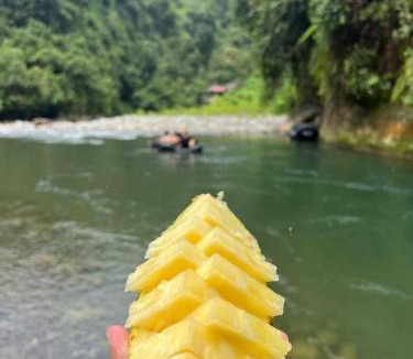 Bukit Lawang Hotel | Sumatra Orangutan Tours-Book your trekking activity with us- the price includes pick-up and drop-off from the airport- meals- and accommodation
