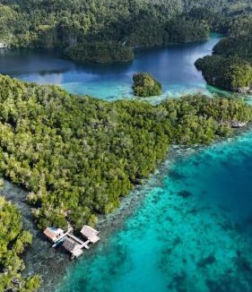 Arborek House | Sunrise Raja Ampat