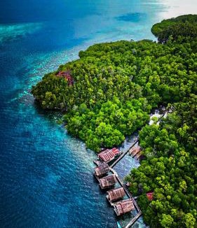 Arborek House | Tapor Pandera Homestay