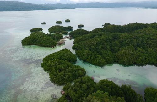 Pulau Pef House | The Driftwood House