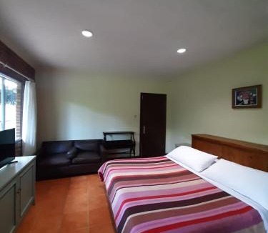 Ciloto Hotel | The Pinewood Lodge and Organic Farm