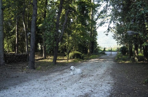 San Giuliano Terme Bed & Breakfast | The Shack in the Woods
