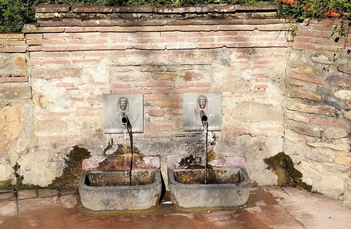 Capannori Apartment | The Sunflower - 5 Km from the walls of Lucca