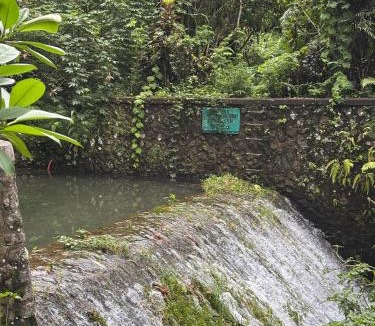 Nungnung Other | Tikumbar Glamping Pelaga