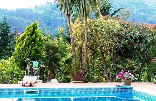 Camaiore House | TINY VILLAGE ON THE GREEN HILLS WITH POOL IN A BIG GARDEN-4 DIFFERENT SIZES HOUS