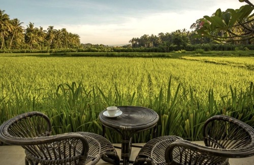 Lodtunduh Villa | Ubud's Hidden Gem: Experience Luxury in Nature's Lap, Near the gates of Ubud.
