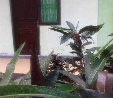 Delod Peken House | Umah Hijau Tabanan
