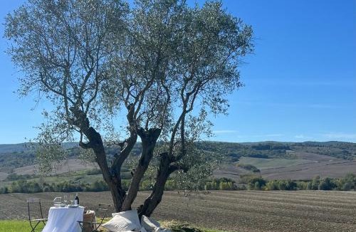 Monteroni d'Arbia Villa | Una Villa in Toscana