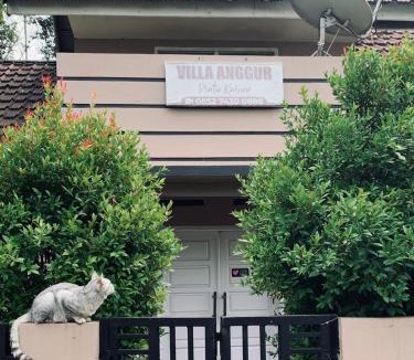 Bukittinggi House | Vila Anggur Pintukabun