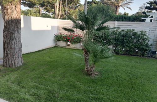 Rosa Marina Villa | Villa Benedetta