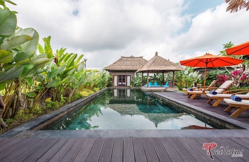 Taro House | Villa Cendrawasih B 4BR