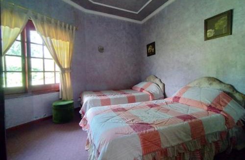 Cimacan Villa | Villa Coolibah 420
