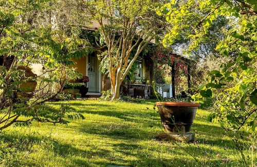 Lucca Villa | Villa D Amico in Lucca