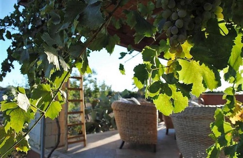 Casa Papa House | Villa Donna Lena