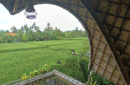 Mas Villa | Villa Gesing Mas