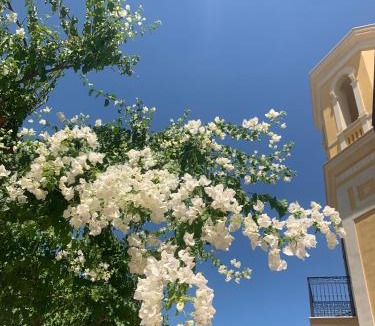 Trani Apartment | Villa Giada