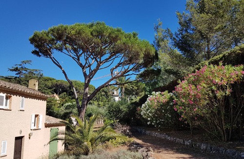 Saint-Tropez Villa | Villa in Saint Tropez in a large park right on the water