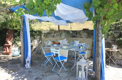 Nocchi House | Villa inthe countryside among the olive trees in Tuscany Lucca Versilia Camaiore