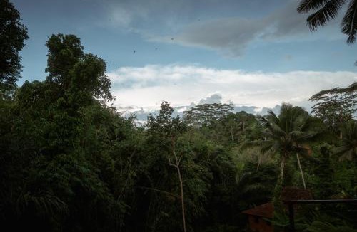 Kelusa House | Villa Mahadevi 1 Open-Air Jungle Joglo Near Ubud
